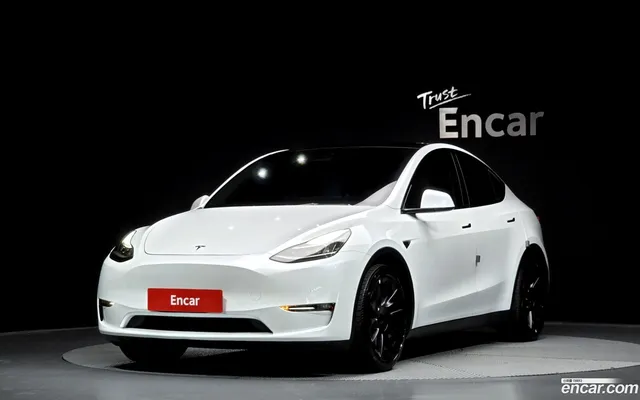 Tesla Model Y AWD — миниатюра 1