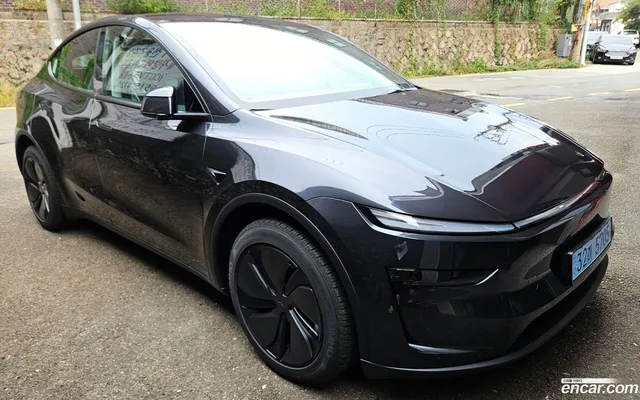 Tesla Model Y RWD — миниатюра 1