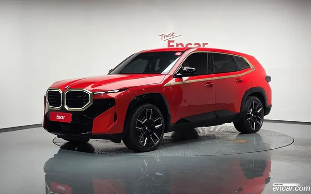 BMW XM (G09) 4.4 — миниатюра 1