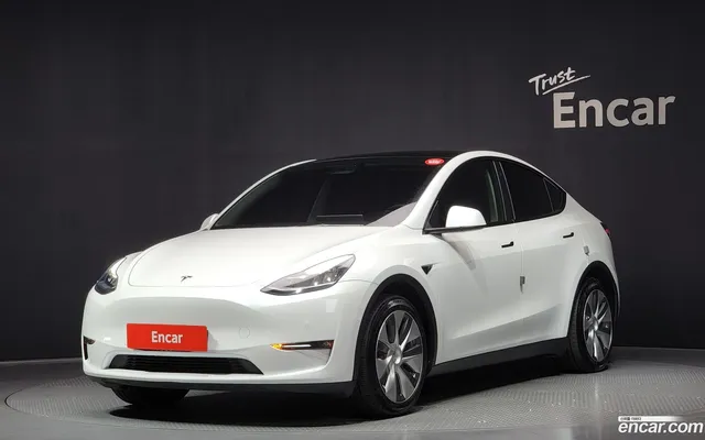 Tesla Model Y AWD — миниатюра 1