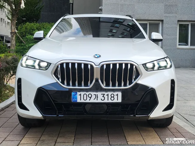 BMW X6 (G06) xDrive40i M — миниатюра 1