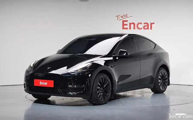 Tesla Model Y AWD — миниатюра 1