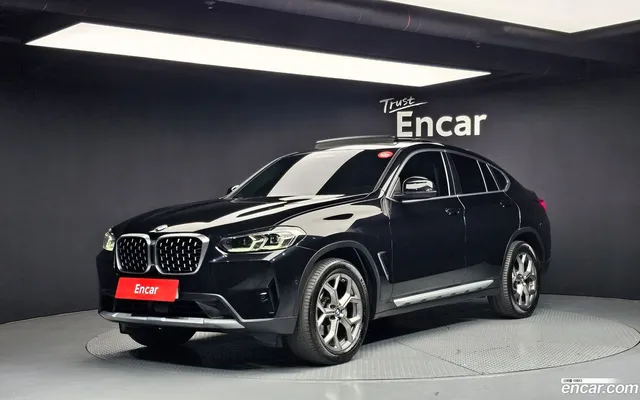 BMW X4 (G02) xDrive20i xLine — миниатюра 1