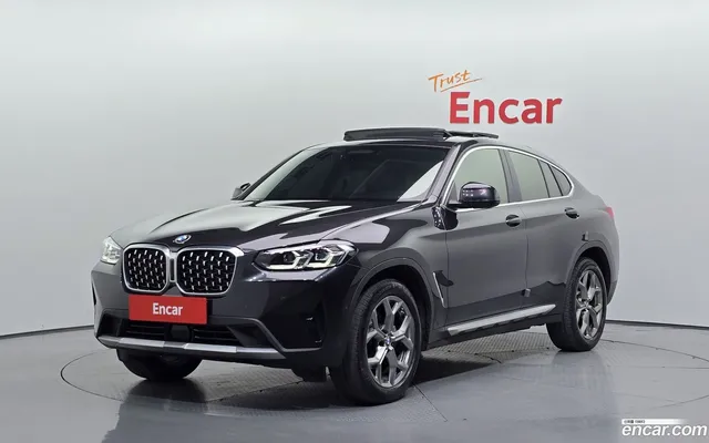 BMW X4 (G02) xDrive20i xLine — миниатюра 1