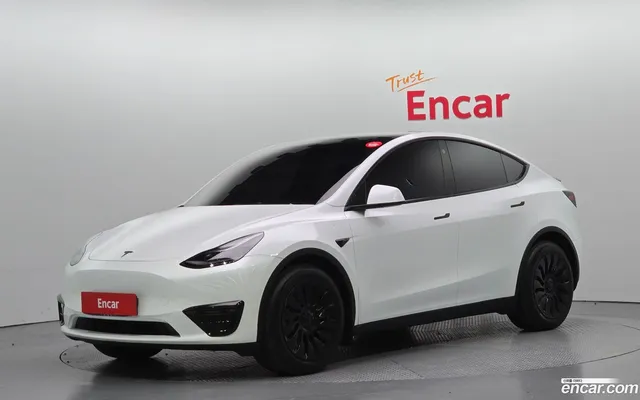 Tesla Model Y AWD — миниатюра 1