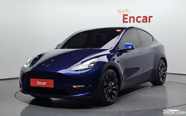 Tesla Model Y AWD — миниатюра 1