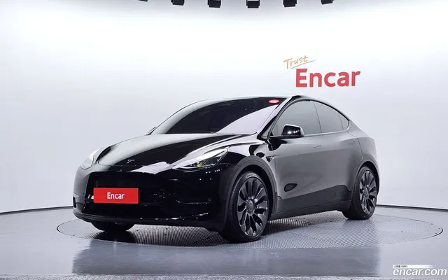 Tesla Model Y AWD — миниатюра 1