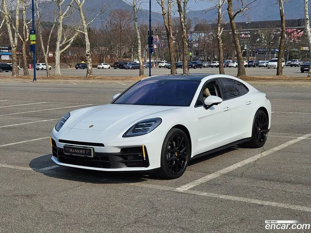 Porsche Panamera (976) 2.9 AWD — миниатюра 1