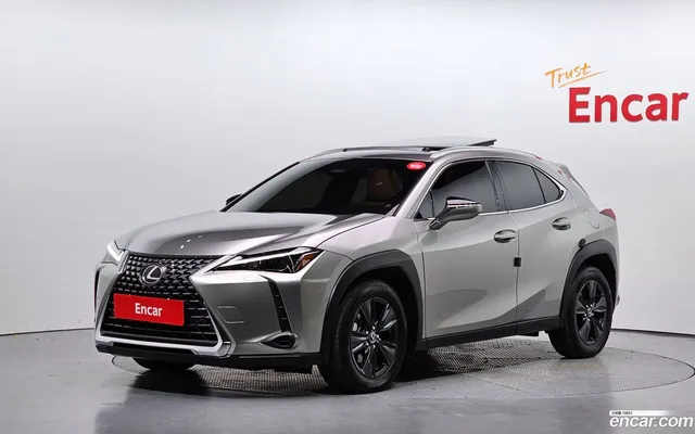 Lexus UX300h 2.0 2WD — миниатюра 1