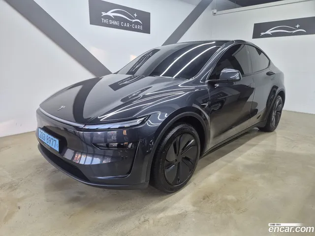 Tesla Model Y RWD — миниатюра 1