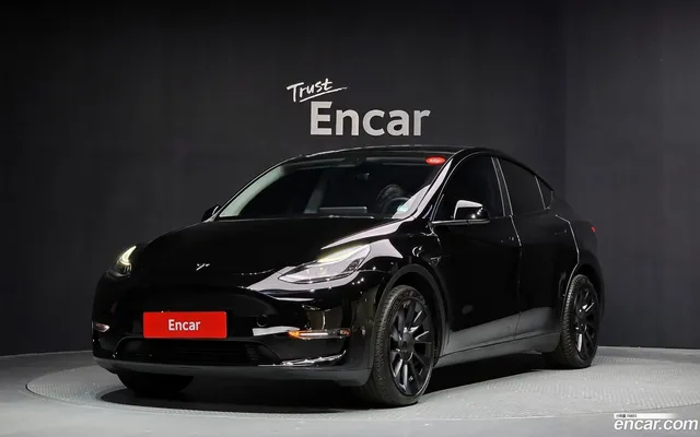 Tesla Model Y AWD — миниатюра 1