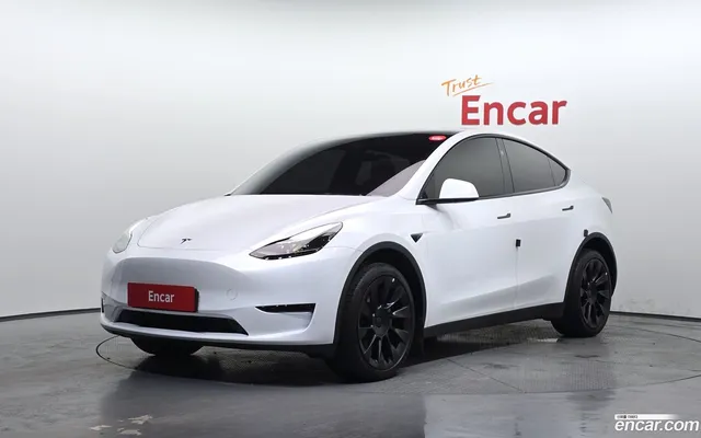 Tesla Model Y AWD — миниатюра 1