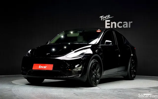 Tesla Model Y AWD — миниатюра 1
