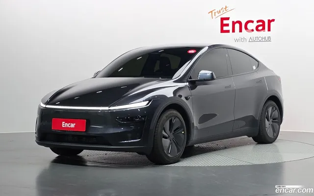 Tesla Model Y RWD — миниатюра 1