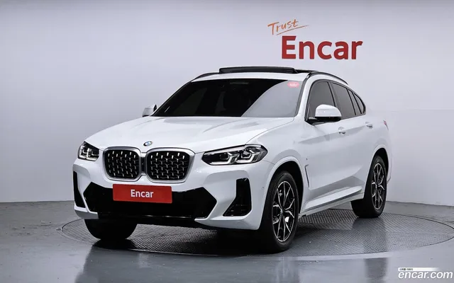 BMW X4 (G02) xDrive20d M — миниатюра 1