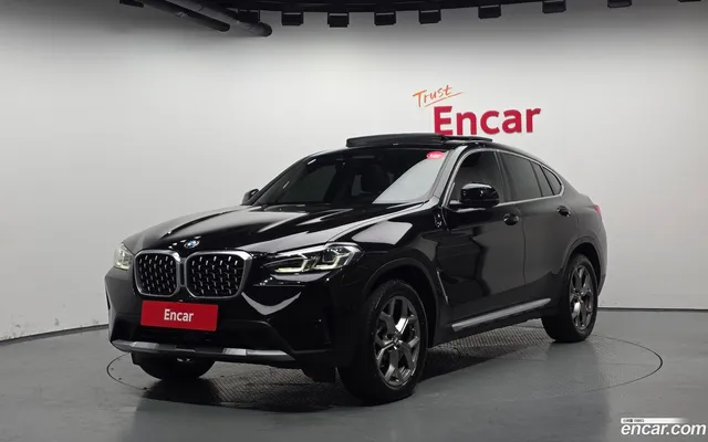 BMW X4 (G02) xDrive20i xLine — миниатюра 1