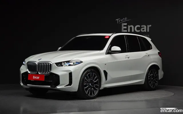 BMW X5 (G05) xDrive 30d M — миниатюра 1