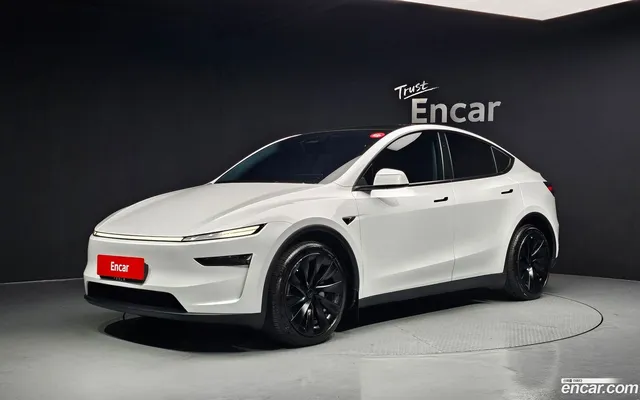 Tesla Model Y AWD — миниатюра 1