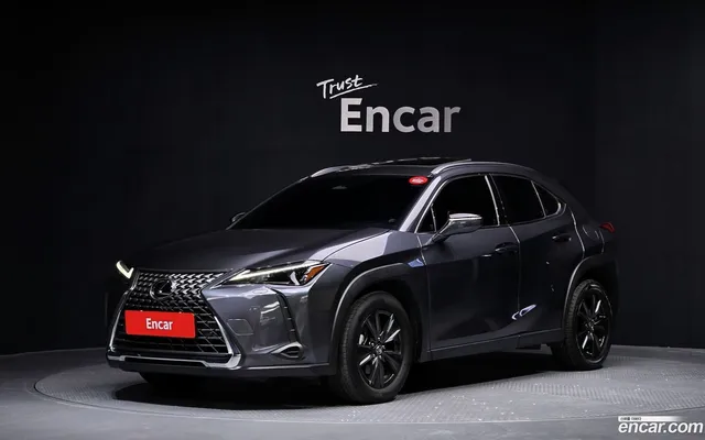 Lexus UX300h 2.0 2WD — миниатюра 1