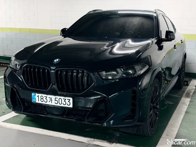 BMW X6 (G06) xDrive40d M — миниатюра 1