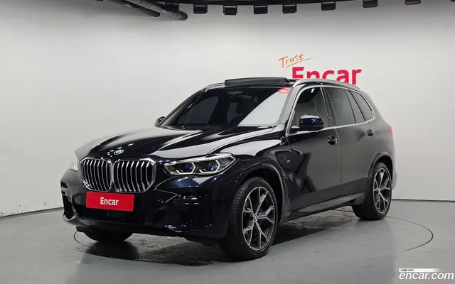 BMW X5 (G05) xDrive 30d M — миниатюра 1