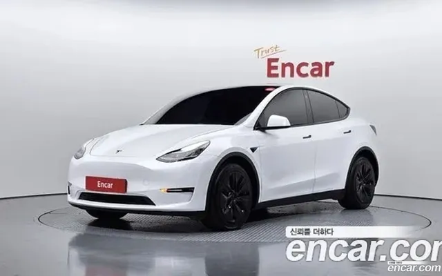 Tesla Model Y AWD — миниатюра 1