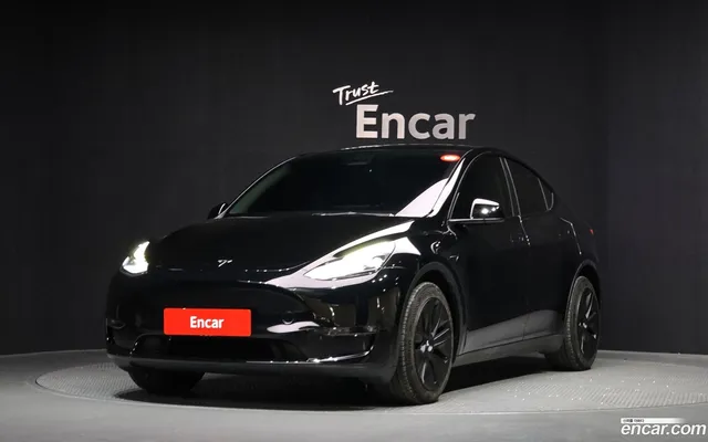 Tesla Model Y AWD — миниатюра 1
