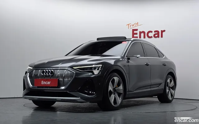 Audi e- 55 — миниатюра 1