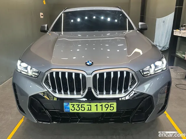 BMW X6 (G06) xDrive40i M — миниатюра 1