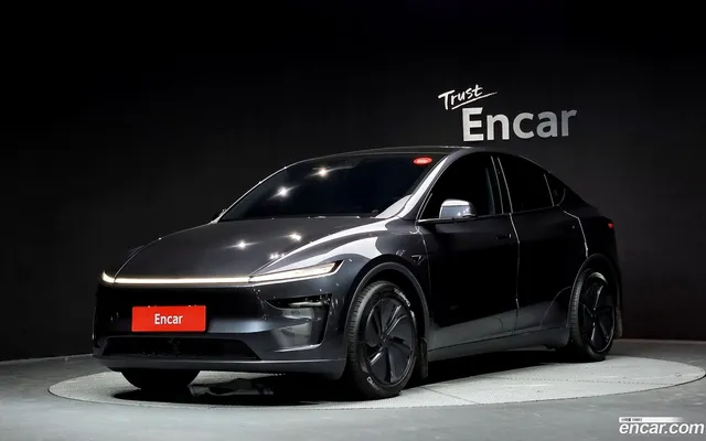 Tesla Model Y AWD — миниатюра 1