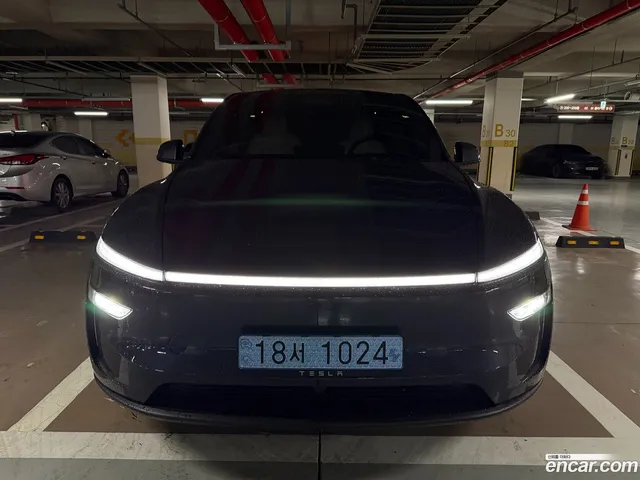 Tesla Model Y RWD — миниатюра 1