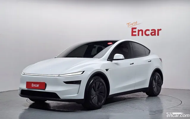 Tesla Model Y AWD — миниатюра 1