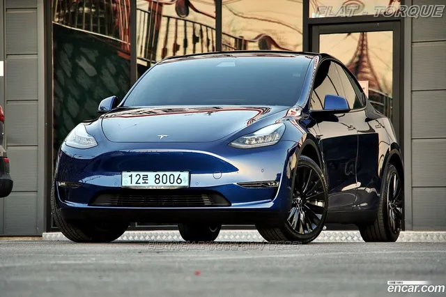 Tesla Model Y AWD — миниатюра 1