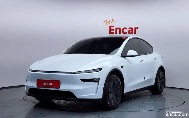 Tesla Model Y RWD — миниатюра 1