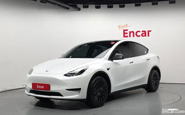 Tesla Model Y RWD — миниатюра 1
