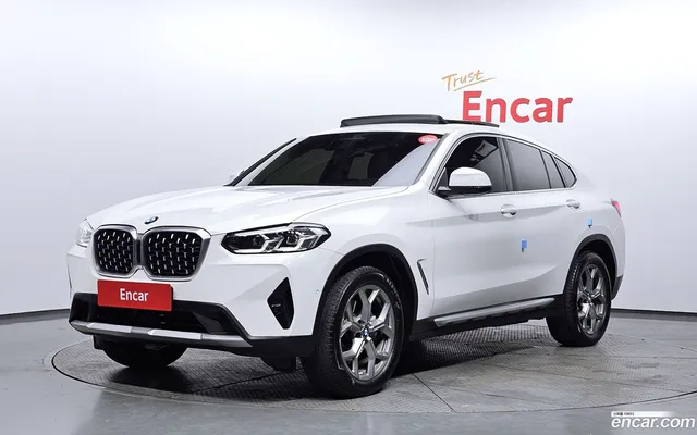 BMW X4 (G02) xDrive20i xLine — миниатюра 1
