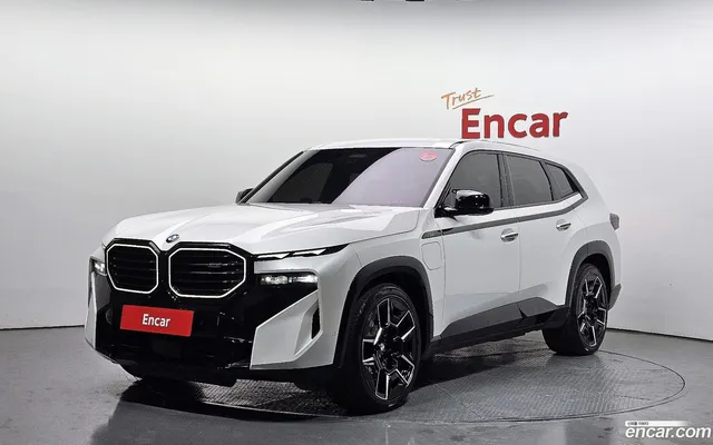 BMW XM (G09) 4.4 — миниатюра 1