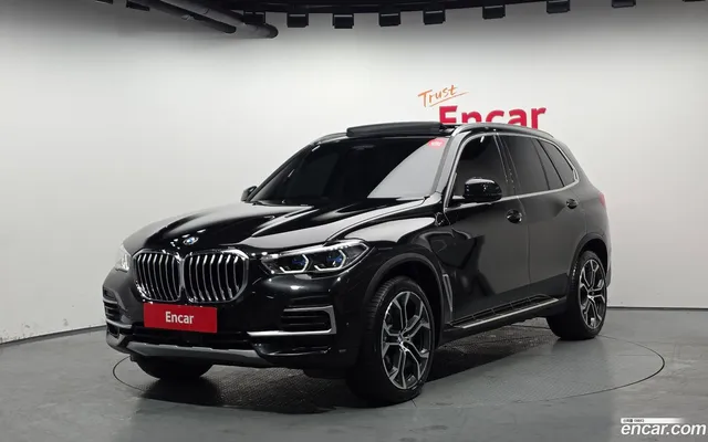 BMW X5 (G05) xDrive 30d xLine — миниатюра 1