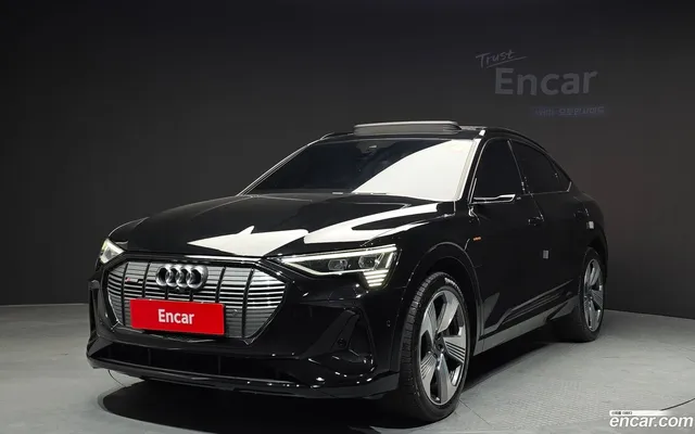 Audi e- 55 — миниатюра 1