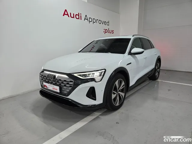 Audi Q8 e- (GE) 55 — миниатюра 1