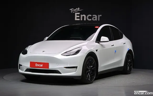 Tesla Model Y AWD — миниатюра 1