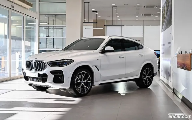 BMW X6 (G06) xDrive40i M — миниатюра 1