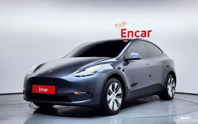 Tesla Model Y AWD — миниатюра 1