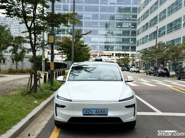 Tesla Model Y AWD — миниатюра 1