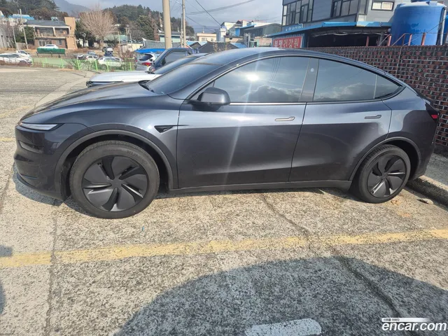 Tesla Model Y RWD — миниатюра 1