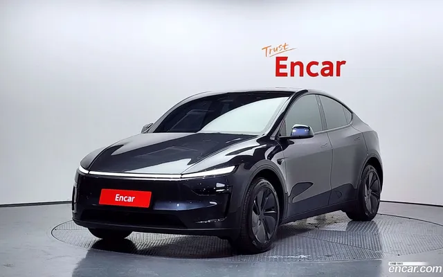 Tesla Model Y RWD — миниатюра 1