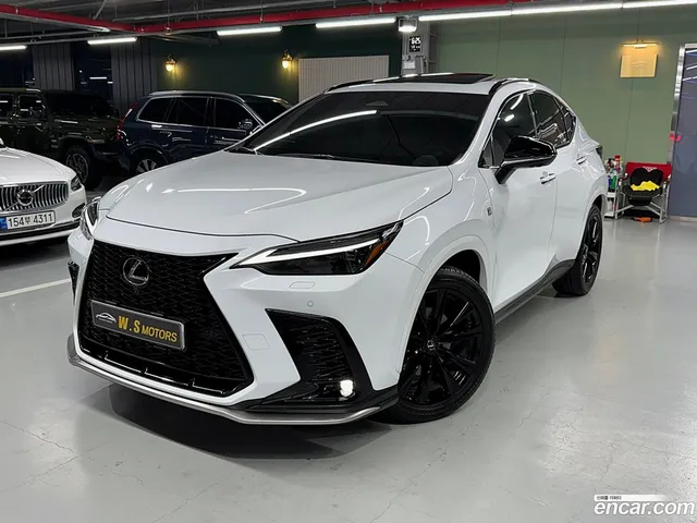 Lexus NX450h+ 2 F-Sport — миниатюра 1