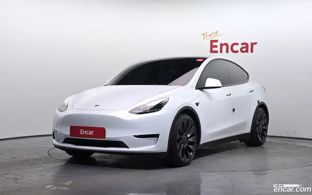 Tesla Model Y AWD — миниатюра 1