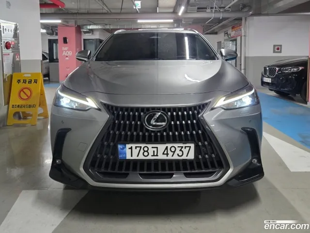 Lexus NX350h 2 — миниатюра 1