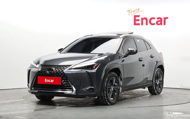 Lexus UX250h 2.0 2WD — миниатюра 1
